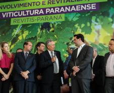 O Governador Carlos Massa Ratinho Júnior e o secretário estadual da Agricultura e Abastecimento, Norberto Ortigara, lançam nesta terça-feira (26), o programa de Desenvolvimento e Revitalização da Viticultura e da Agroindústria Vitícola no Paraná, o Revitis.