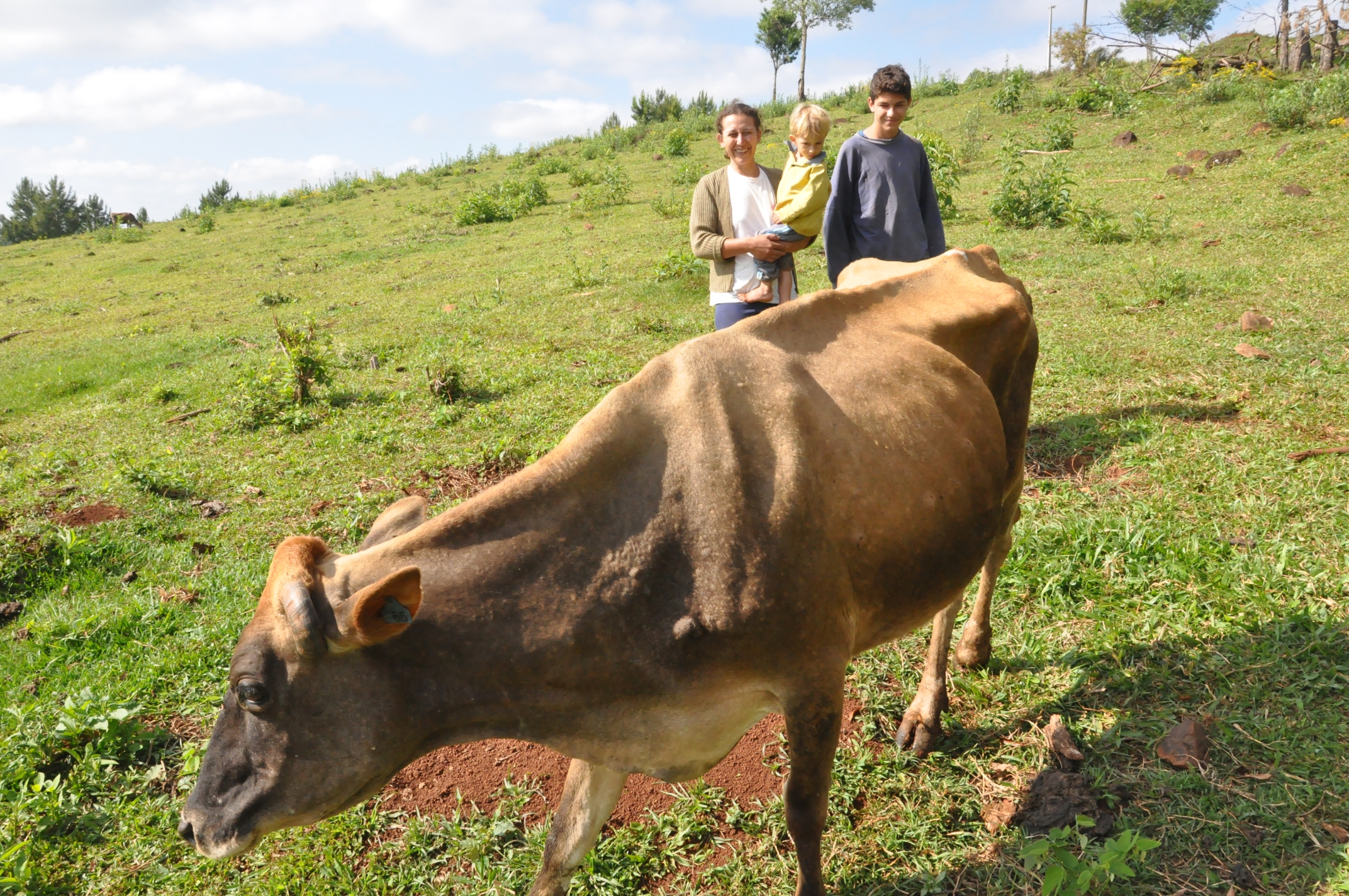 Irene Giteski Ferreira, agricultora de Porto Barreiro, financiou duas vacas pelo Paraná Juro Zero, da Fomento Paraná.