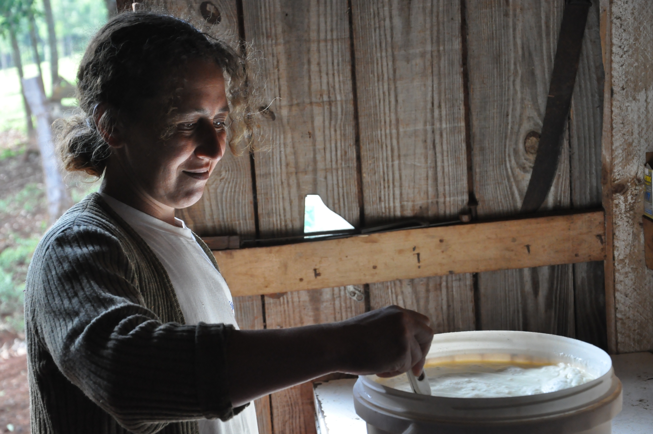 Irene Giteski Ferreira, agricultora de Porto Barreiro, financiou duas vacas pelo Paraná Juro Zero, da Fomento Paraná.