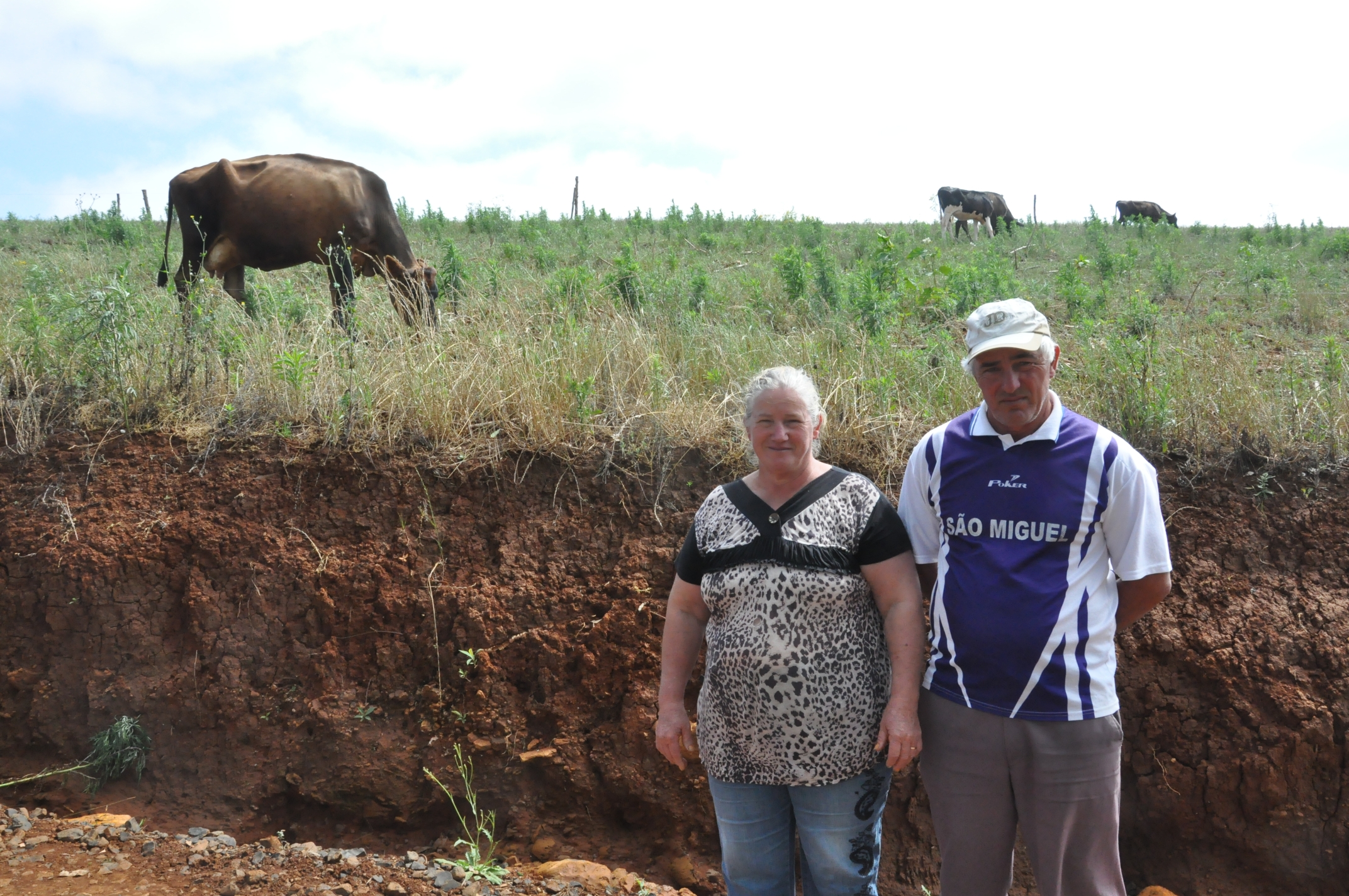 Irene Maria Stig Matoso Marques, agricultora de Porto Barreiro, financiou duas vacas pelo Paraná Juro Zero, da Fomento Paraná.