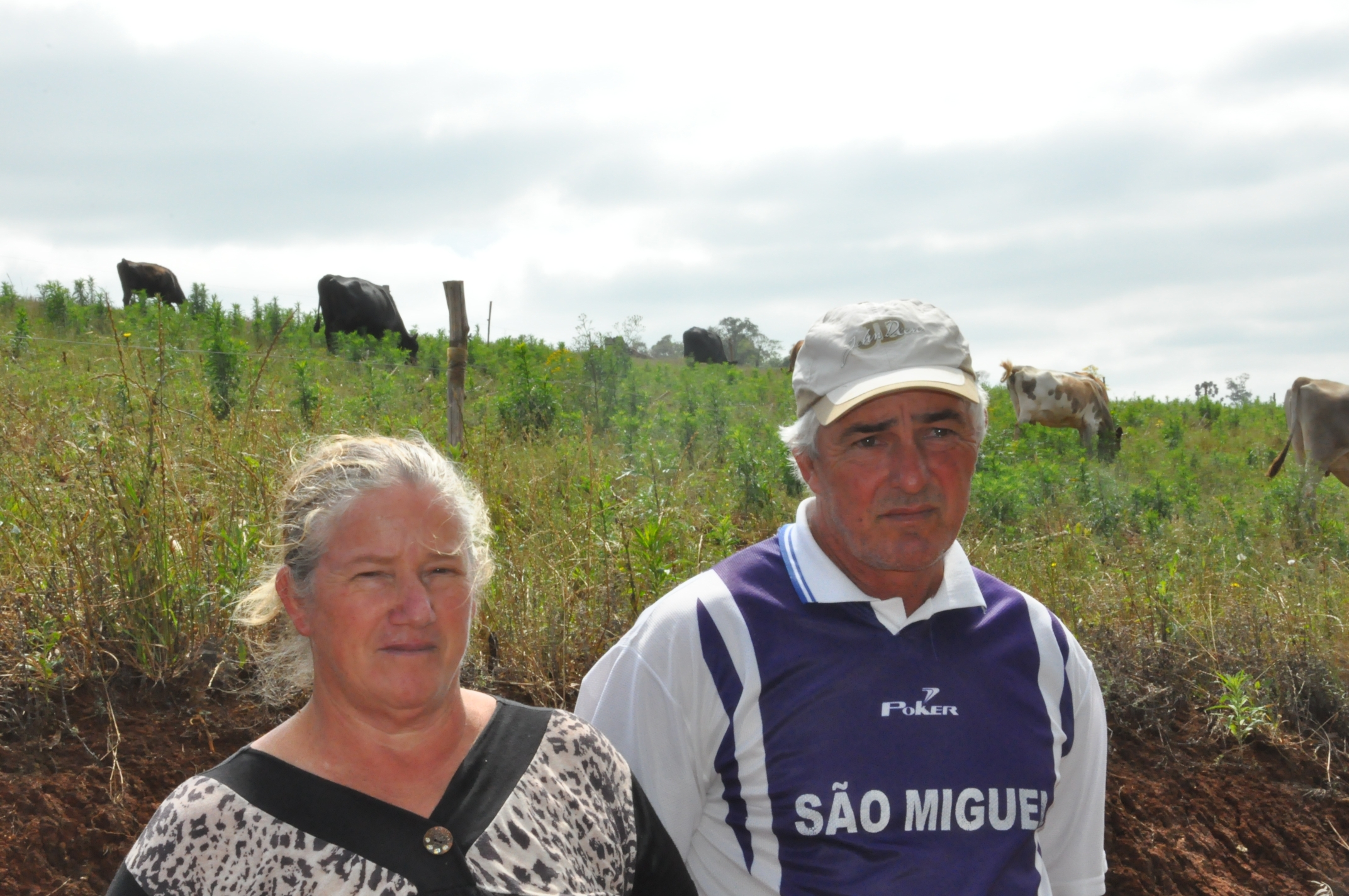 Irene Maria Stig Matoso Marques, agricultora de Porto Barreiro, financiou duas vacas pelo Paraná Juro Zero, da Fomento Paraná.
