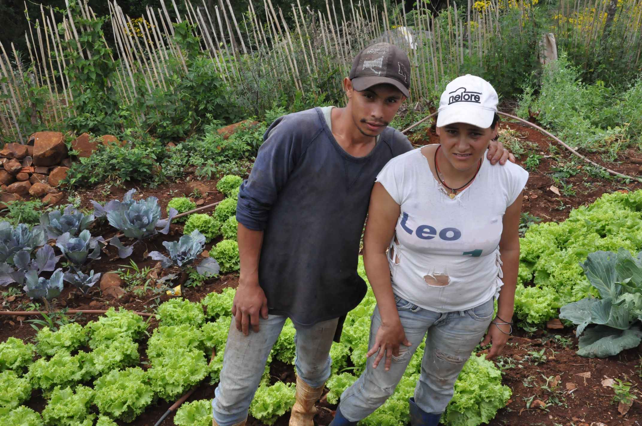 Janete Correa da Costa, agricultora de Porto Barreiro, financiou horata irrigada pelo Paraná Juro Zero, da Fomento Paraná.