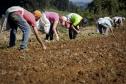 Assinatura de convênio que institui o Fundo de Aval assinado pelos secretários da Agricultura, Norberto Ortigara; do Planejamento, Cassio Taniguchi; da Fazenda, Jozélia Nogueira; pelo presidente da Fomento Paraná, Juraci Barbosa Sobrinho, pelo vice-presidente Banco Regional de Desenvolvimento do Extremo Sul (BRDE), Jorge Gomes Rosa Filho; e pelo diretor-presidente do Instituto Paranaense de Assistência Técnica e Extensão Rural (Emater), Rubens Niederheitamann. 