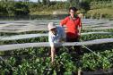 Os agricultores Neliria Huff e Valdemar Ramos, de Bituruna, no sul do estado, receberam crédito da Fomento Paraná e triplicaram a produção e colheita de morangos orgânicos.