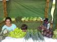 A produtora rural de Quitandinha, Sirlei Aparecida de Moura, vende hortaliças na feira da cidade. Sistema de irrigação foi adquirido pela agricultora através do financiamento da FOMENTO PARANÁ.