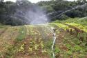 Sistema de irrigação adquirido pela produtora rural de Quitandinha, Sirlei Aparecida de Moura, por meio do financiamento da FOMENTO PARANÁ.