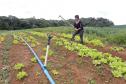 A produtora rural de Quitandinha, Sirlei Aparecida de Moura, mostra sistema de irrigação adquirido através do financiamento da FOMENTO PARANÁ.