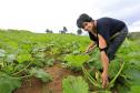 A produtora rural de Quitandinha, Sirlei Aparecida de Moura, mostra horta, cujo sistema de irrigação foi adquirido através do financiamento da FOMENTO PARANÁ.