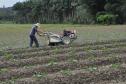 Empreendimentos afetados pelas fortes chuvas que atingiram Morretes, no litoral do estado, em março de 2011, comemoram a retomada plena das atividades a partir do crédito disponibilizado pela Fomento Paraná. Na imagem, agricultor faz aragem do solo.