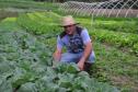Empreendimentos afetados pelas fortes chuvas que atingiram Morretes, no litoral do estado, em março de 2011, comemoram a retomada plena das atividades a partir do crédito disponibilizado pela Fomento Paraná. Na imagem, o agricultor Ezequiel Petenusso na plantação de hortaliças.