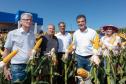 O governador Beto Richa anunciou nesta terça, 6, em visita ao Show Rural Coopavel, em Cascavel, que a subvenção do Seguro Rural da safra agrícola 2018 no estado terá até R$ 12 milhões para atender as 21 principais culturas produzidas no estado.
