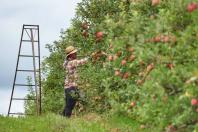 Banco do Agricultor Paranaense marca nova aposta do Estado no agronegócio