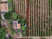 Vista aérea da propriedade rural de Marcos Leite