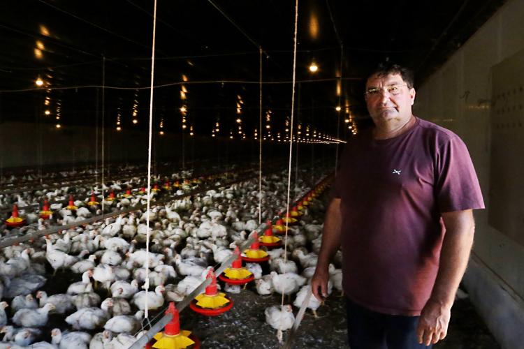 Antonio Navarro Sabaudia