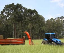 O Programa Trator Solidário proporcionou este ano economia de cerca de R$ 17 milhões para os agricultores familiares paranaenses.