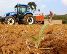 O Programa Trator Solidário proporcionou este ano economia de cerca de R$ 17 milhões para os agricultores familiares paranaenses 