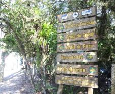 Paunel com placas informativas á beira de um caminho na Ilha do Mel para orientar turistas para a direção do Farol das Conchas, Praia do Farol, Praia de Fora, Encantadas e Praia Grande.