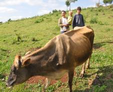 Irene Giteski Ferreira, agricultora de Porto Barreiro, financiou duas vacas pelo Paraná Juro Zero, da Fomento Paraná.