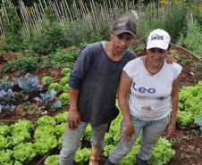 Janete Correa da Costa, agricultora de Porto Barreiro, financiou horata irrigada pelo Paraná Juro Zero, da Fomento Paraná.