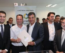 Palmeira. Edir Havrechaki.