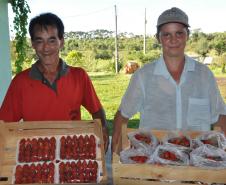 Os agricultores Neliria Huff e Valdemar Ramos, de Bituruna, no sul do estado, receberam crédito da Fomento Paraná e triplicaram a produção e colheita de morangos orgânicos.