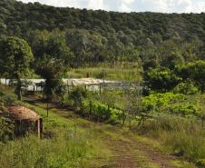 Os agricultores Neliria Huff e Valdemar Ramos, de Bituruna, no sul do estado, receberam crédito da Fomento Paraná e triplicaram a produção e colheita de morangos orgânicos.