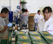 Linha de produção da DEXTER LATINA, que produz o multi-inseticida STRAIK, que mata as larvas do mosquito da dengue. Curitiba, 30-07-15.