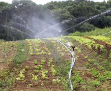 Sistema de irrigação adquirido pela produtora rural de Quitandinha, Sirlei Aparecida de Moura, por meio do financiamento da FOMENTO PARANÁ.