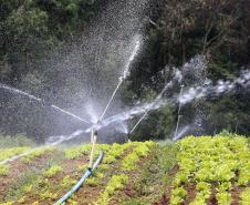 Sistema de irrigação adquirido pela produtora rural de Quitandinha, Sirlei Aparecida de Moura, por meio do financiamento da FOMENTO PARANÁ.