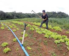 A produtora rural de Quitandinha, Sirlei Aparecida de Moura, mostra sistema de irrigação adquirido através do financiamento da FOMENTO PARANÁ.