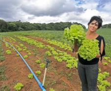 A produtora rural de Quitandinha, Sirlei Aparecida de Moura, mostra sistema de irrigação adquirido através do financiamento da FOMENTO PARANÁ.