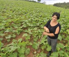 A produtora rural de Quitandinha, Sirlei Aparecida de Moura, mostra sistema de irrigação adquirido através do financiamento da FOMENTO PARANÁ.