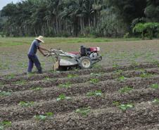 Empreendimentos afetados pelas fortes chuvas que atingiram Morretes, no litoral do estado, em março de 2011, comemoram a retomada plena das atividades a partir do crédito disponibilizado pela Fomento Paraná. Na imagem, agricultor faz aragem do solo.
