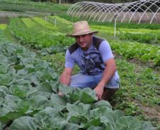 Empreendimentos afetados pelas fortes chuvas que atingiram Morretes, no litoral do estado, em março de 2011, comemoram a retomada plena das atividades a partir do crédito disponibilizado pela Fomento Paraná. Na imagem, o agricultor Ezequiel Petenusso na plantação de hortaliças.