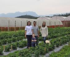 Empreendimentos afetados pelas fortes chuvas que atingiram Morretes, no litoral do estado, em março de 2011, comemoram a retomada plena das atividades a partir do crédito disponibilizado pela Fomento Paraná. Na imagem, a família do agricultor Altamir Bontorin com a engenheira agrônoma da Emater, Ruth Pires, que prestou suporte técnico à família.