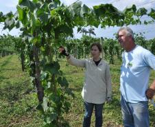 Empreendimentos afetados pelas fortes chuvas que atingiram Morretes, no litoral do estado, em março de 2011, comemoram a retomada plena das atividades a partir do crédito disponibilizado pela Fomento Paraná. Na imagem, o agricultor Wilson Simão com a engenheira agrônoma da Emater, Ruth Pires.