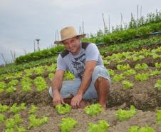 Empreendimentos afetados pelas fortes chuvas que atingiram Morretes, no litoral do estado, em março de 2011, comemoram a retomada plena das atividades a partir do crédito disponibilizado pela Fomento Paraná. Na imagem, o agricultor Ezequiel Petenusso na plantação de hortaliças.