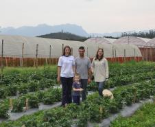 Empreendimentos afetados pelas fortes chuvas que atingiram Morretes, no litoral do estado, em março de 2011, comemoram a retomada plena das atividades a partir do crédito disponibilizado pela Fomento Paraná. Na imagem, a família do agricultor Altamir Bontorin com a engenheira agrônoma da Emater, Ruth Pires, que prestou suporte técnico à família.