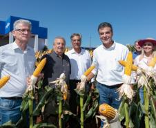 O governador Beto Richa anunciou nesta terça, 6, em visita ao Show Rural Coopavel, em Cascavel, que a subvenção do Seguro Rural da safra agrícola 2018 no estado terá até R$ 12 milhões para atender as 21 principais culturas produzidas no estado.