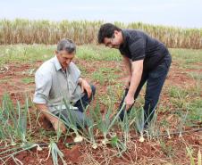 O agente de crédito e técnico da área do Trabalho e Renda José Gilson da Silva orientou os agricultores Ivanilde Desengrine e Itacir Caverzan para impantar sistema de gotejamento que aumentou a produção de frutas da propriedade em Centenário do Sul. 