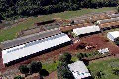 Energia renovável e pecuária: BRDE liberou R$ 305 milhões no Banco do Agricultor Paranaense