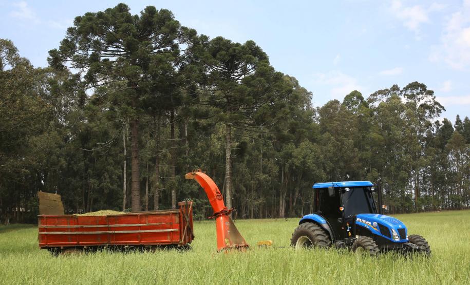 O Programa Trator Solidário proporcionou este ano economia de cerca de R$ 17 milhões para os agricultores familiares paranaenses.
