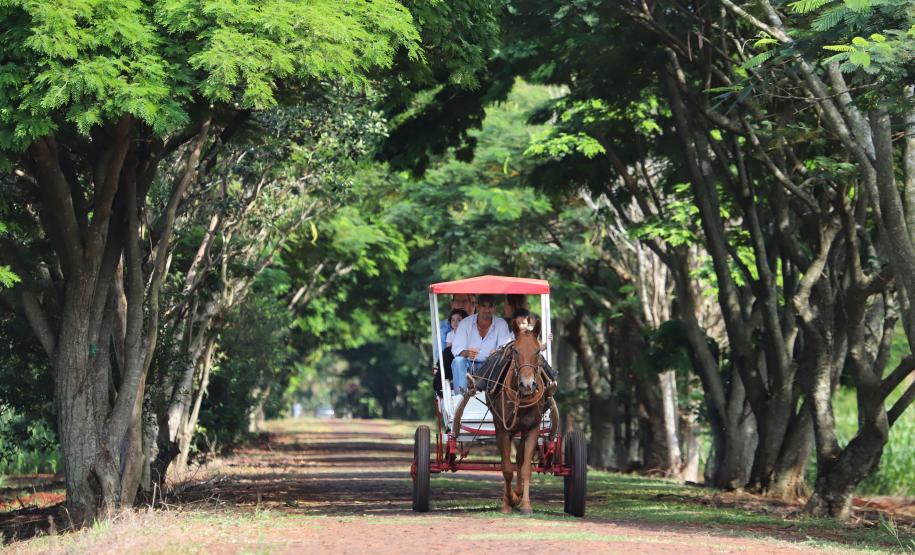 Homem com charrete percorre alameda no Hotel Fazenda Itacorá, em Itaipulândia.
