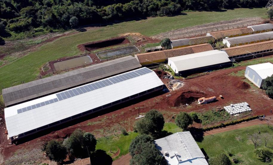 Energia renovável e pecuária: BRDE liberou R$ 305 milhões no Banco do Agricultor Paranaense