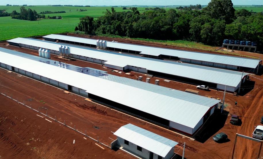 Governo do Estado e MBRF anunciam R$ 375 milhões para fortalecer produção de alimentos