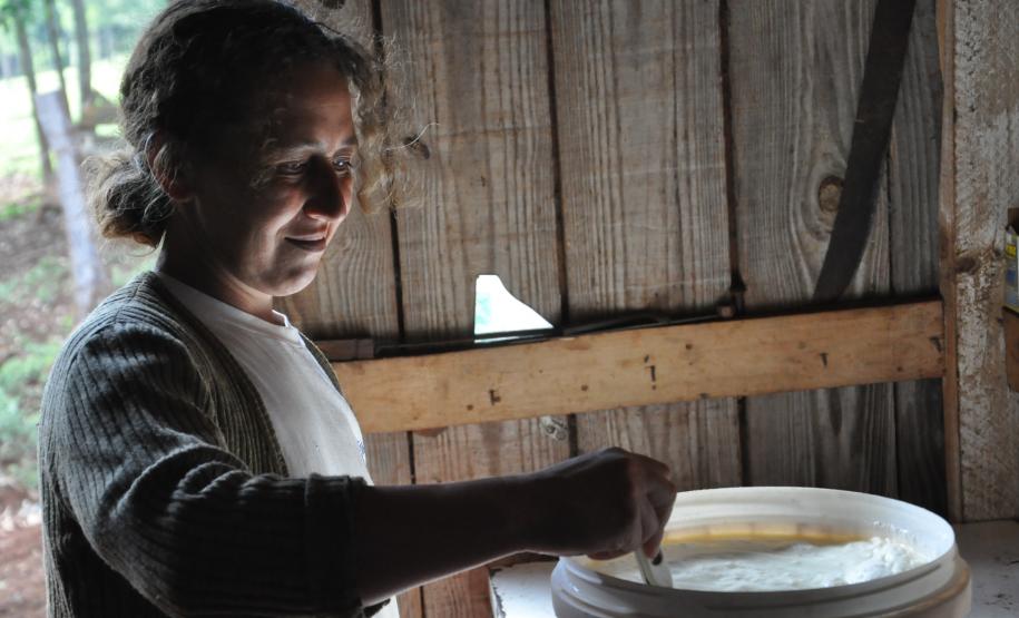 Irene Giteski Ferreira, agricultora de Porto Barreiro, financiou duas vacas pelo Paraná Juro Zero, da Fomento Paraná.