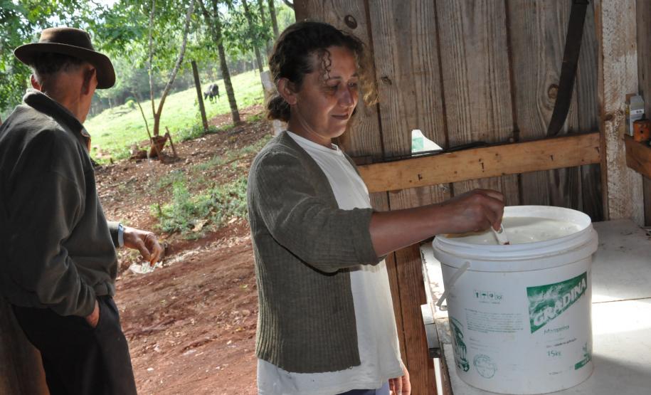 Irene Giteski Ferreira, agricultora de Porto Barreiro, financiou duas vacas pelo Paraná Juro Zero, da Fomento Paraná.