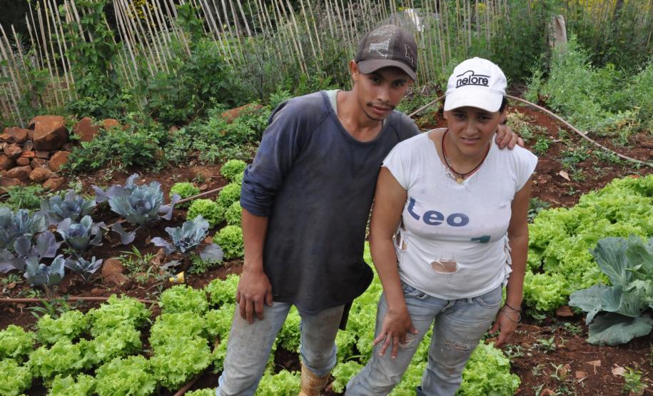 Microcrédito impulsiona empreendimentos no Interior Janete Correa da Costa, agricultora de Porto Barreiro, financiou horata irrigada pelo Paraná Juro Zero, da Fomento Paraná.