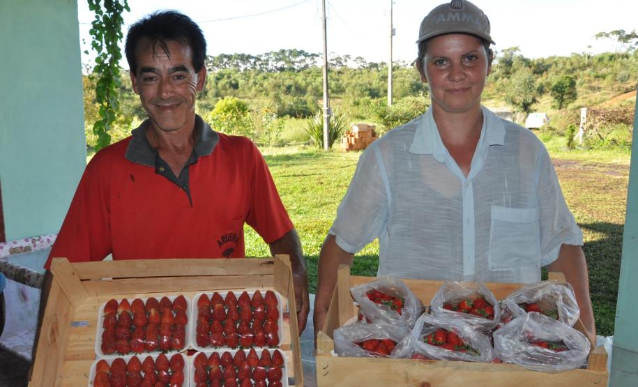 Agricultora triplica produção de morangos orgânicos com crédito da Fomento Paraná Os agricultores Neliria Huff e Valdemar Ramos, de Bituruna, no sul do estado, receberam crédito da Fomento Paraná e triplicaram a produção e colheita de morangos orgânicos.