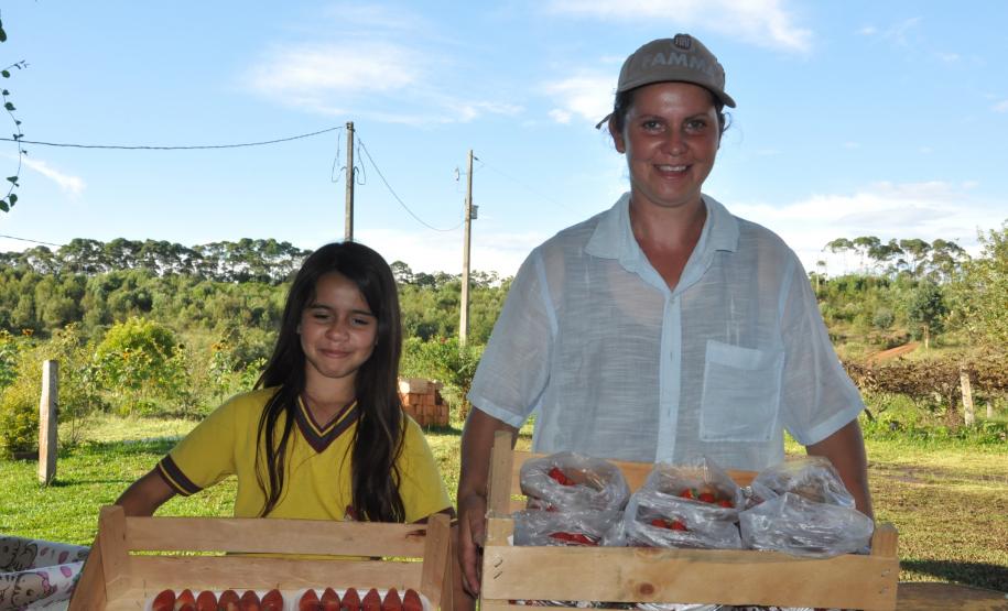 Agricultora triplica produção de morangos orgânicos com crédito da Fomento Paraná Os agricultores Neliria Huff e Valdemar Ramos, de Bituruna, no sul do estado, receberam crédito da Fomento Paraná e triplicaram a produção e colheita de morangos orgânicos.